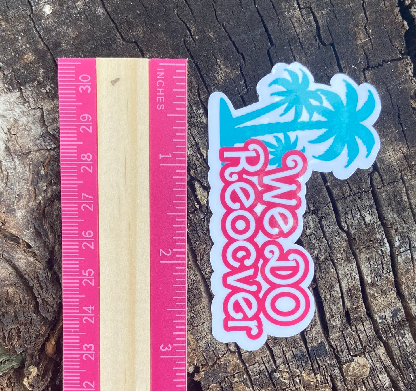 We Do Recover sticker for water bottle sticker recovery and sobriety sticker Barbie the movie inspired sticker Barbie core sticker decal