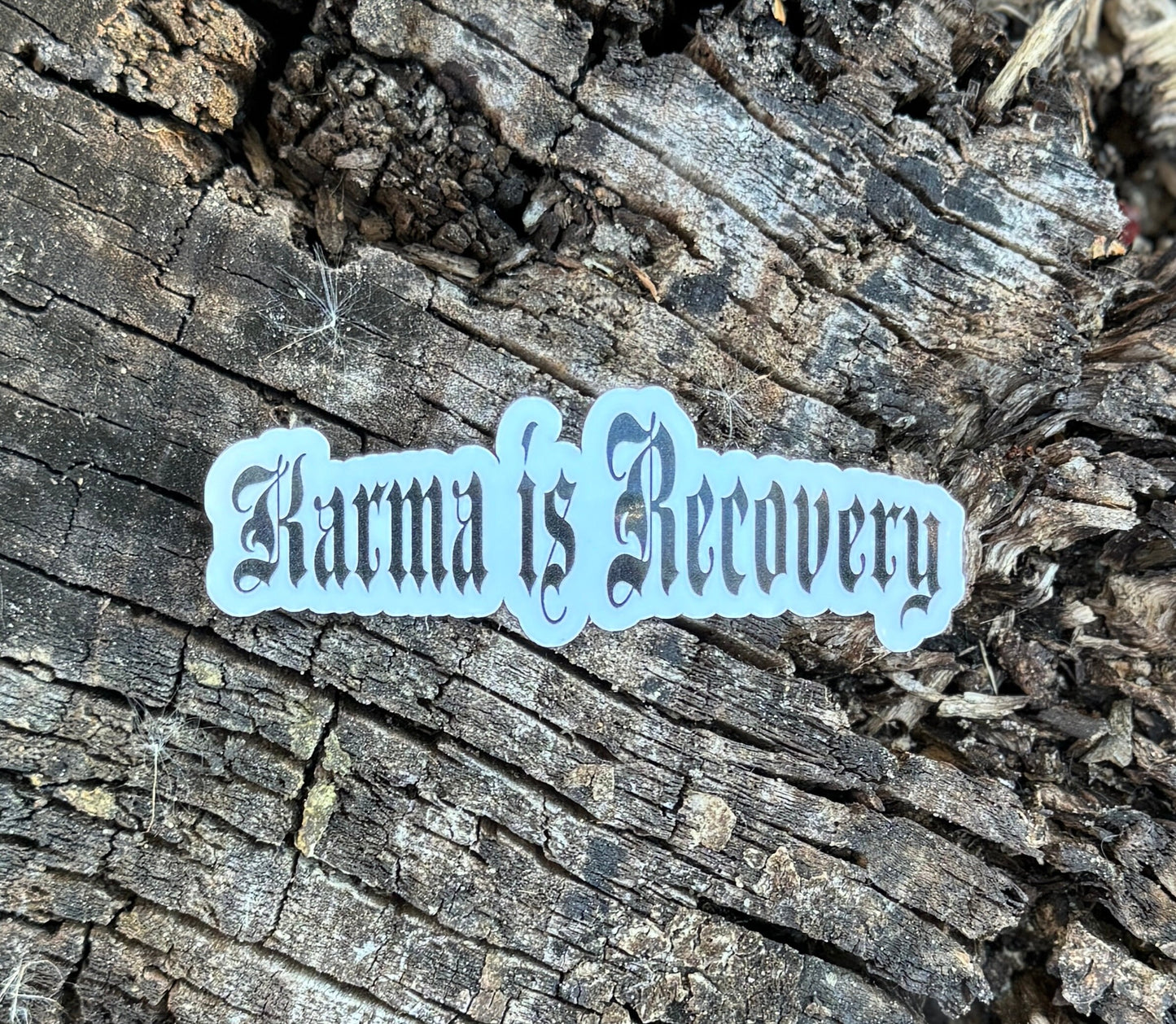 Karma is Reovery