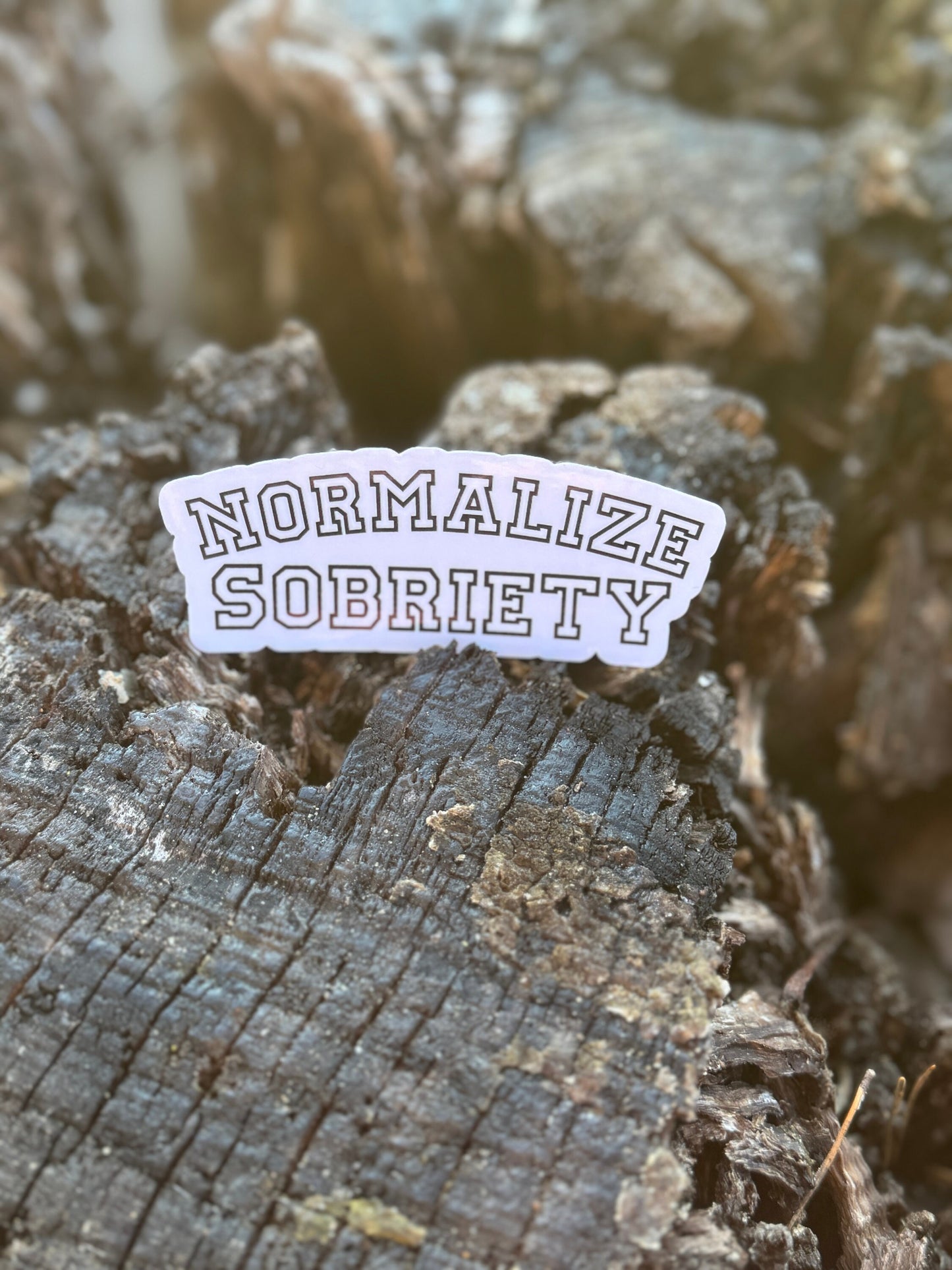 Normalize Sobriety Sticker